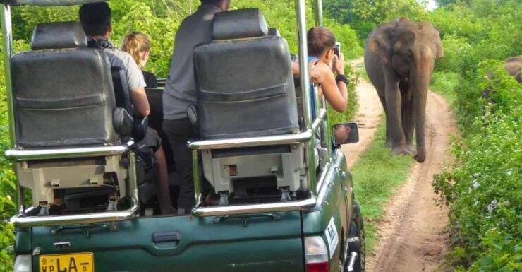 Private Yala National Park Safari Full Day Tour With Lunch - Duration and Itinerary