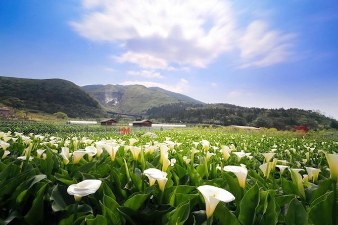 Private Yangmingshan & Beitou Tour From Taipei With Pickup - Tour Details
