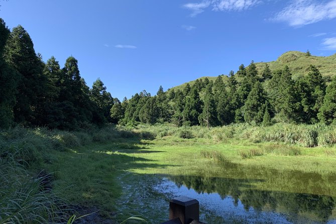Private Yangmingshan Volcano Tour - Reviews and Ratings