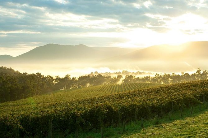 Private Yarra Valley Tour - Cancellation Policy Details