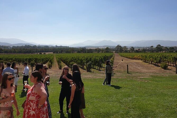 Private Yarra Valley Winery & Healesville Sanctuary Tours - Authentic Experiences and Practical Insights