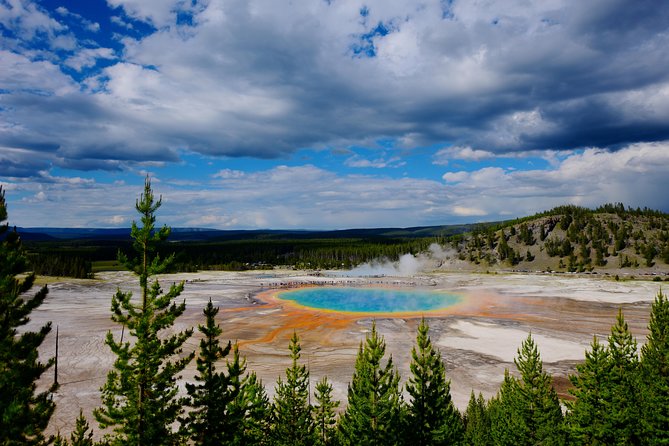 Private Yellowstone Tour: ICONIC Sites, Wildlife, Family Friendly Hikes Lunch - Inclusions