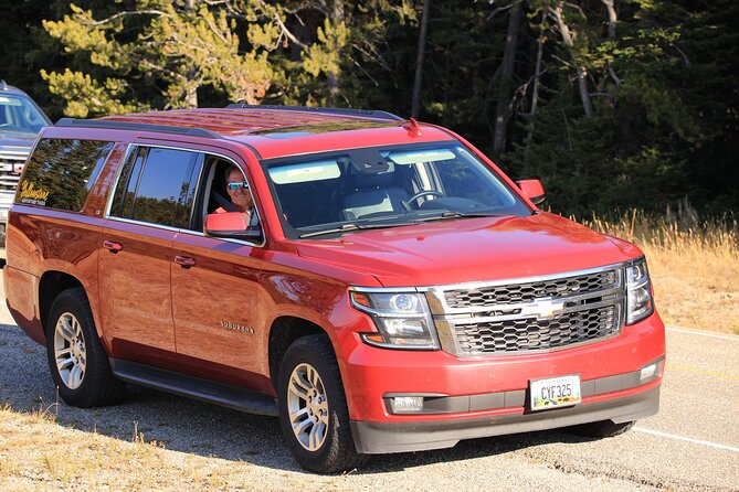 Private Yellowstone Tour: ICONIC Sites, Wildlife, Family Friendly Hikes Lunch - The Sum Up