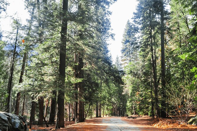 Private Yosemite National Park Day Trip From San Francisco - Natural Attractions