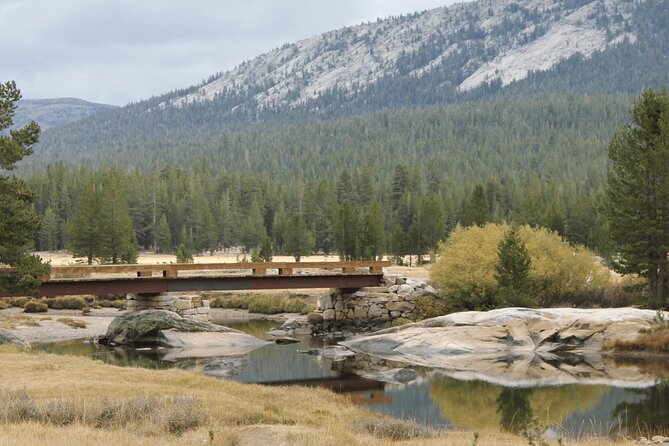 Private Yosemite National Park Day Trip From San Francisco - Recommended Activities