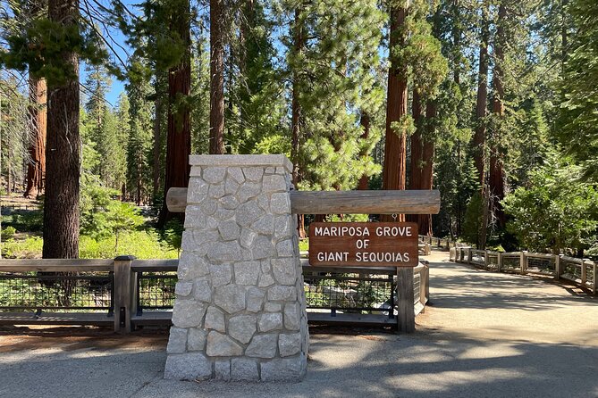Private Yosemite, Sequoias, Glacier Point From San Francisco - Itinerary Overview