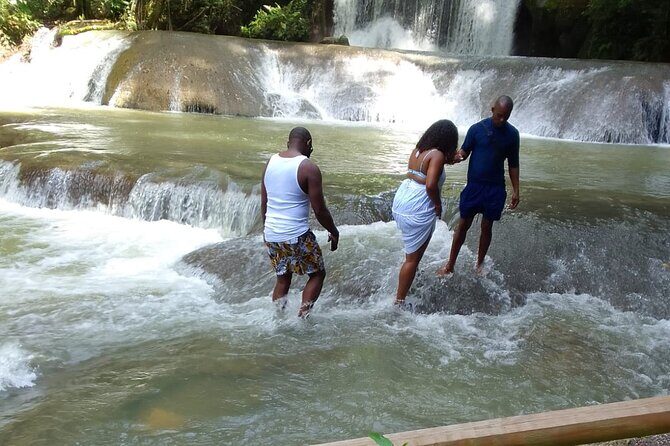 Private YS Falls and Appleton Estate Rum Tour from Montego Bay - Who Should Consider This Tour?