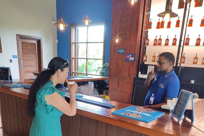 Private YS Falls and Appleton Estate Rum Tour from Montego Bay - Final Thoughts