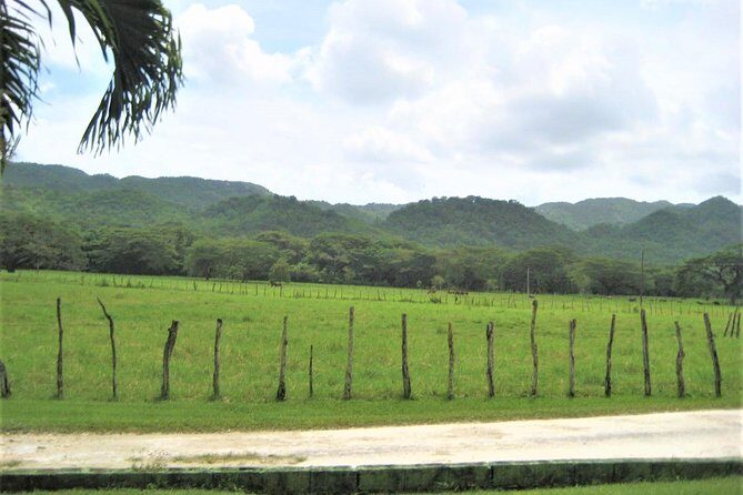 Private YS Falls and Black River Safari from Montego Bay and Grand Palladium - FAQs