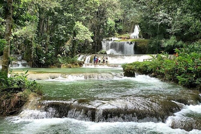 Private YS Falls and Black River Safari from Montego Bay - What You Should Know Before Booking
