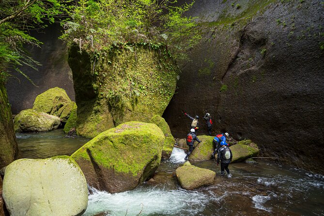 Private Yufugawa Gorge Trekking - Reviews and Verification