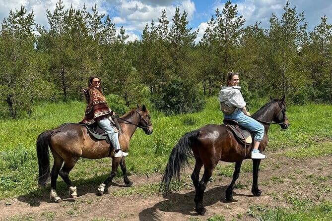Private Yurt Tour with Horses: Immerse into Kazakh Culture - In-Depth Review of the Yurt and Horseback Experience