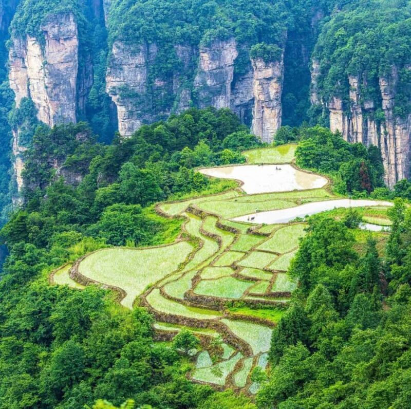 Private Zhangjiajie: Glass Bridge, Terraces & Avatar - Visiting Tianzi Mountain and Its Peaks
