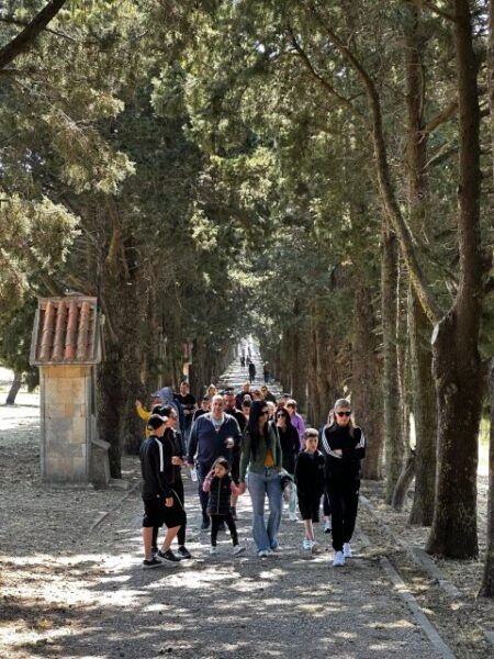 Private:Filerimos Hill,Ancient Kamiros,Kritinias Castle Tour - Common Questions