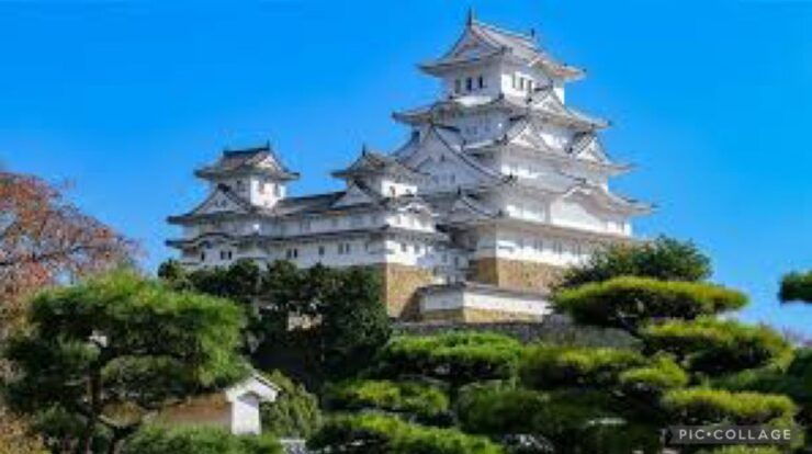 Private:Full Day Kobe City Tour W/Hotel Pickup - Tour Details