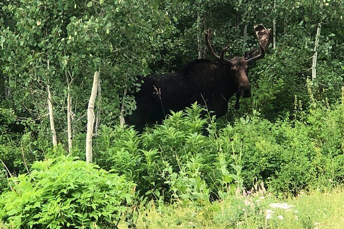 Privately Guided Scenic Mountain Hike - FAQ