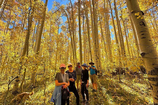 Privately Guided Scenic Mountain Hike - Good To Know