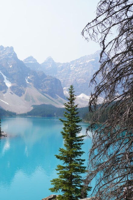 Privatetour Banff/Yoho/Jasper National Park for Senior Group - Inclusions and Exclusions