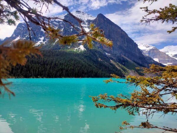 Privatetour Banff/Yoho/Jasper National Park for Senior Group - Cancellation Policy