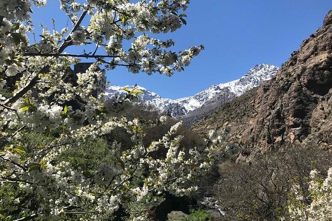 Privtae Day Tour From Marrakech Exploring Berber Villages and Atlas Mountains - Inclusions and Exclusions