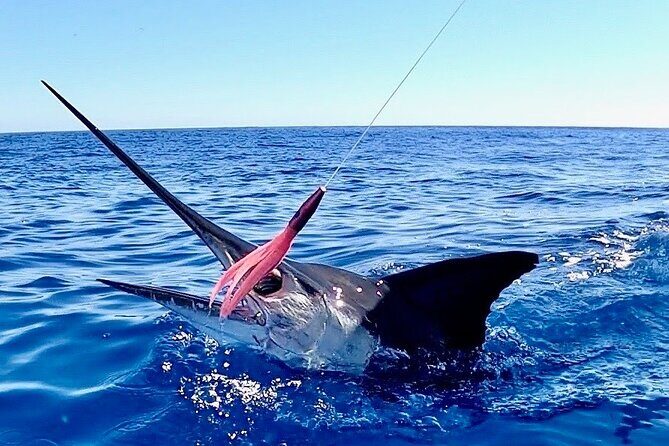 Pro Series Full Day Deep Sea Fishing with Wahooters - The Experience and the Crew