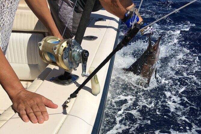 Pro Series Full Day Deep Sea Fishing with Wahooters - Cost and Value Analysis