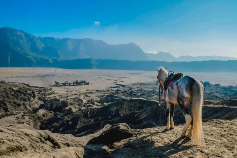 Probolinggo: Dawn Journey to Mount Ijen Sunrise Expedition - Final Thoughts