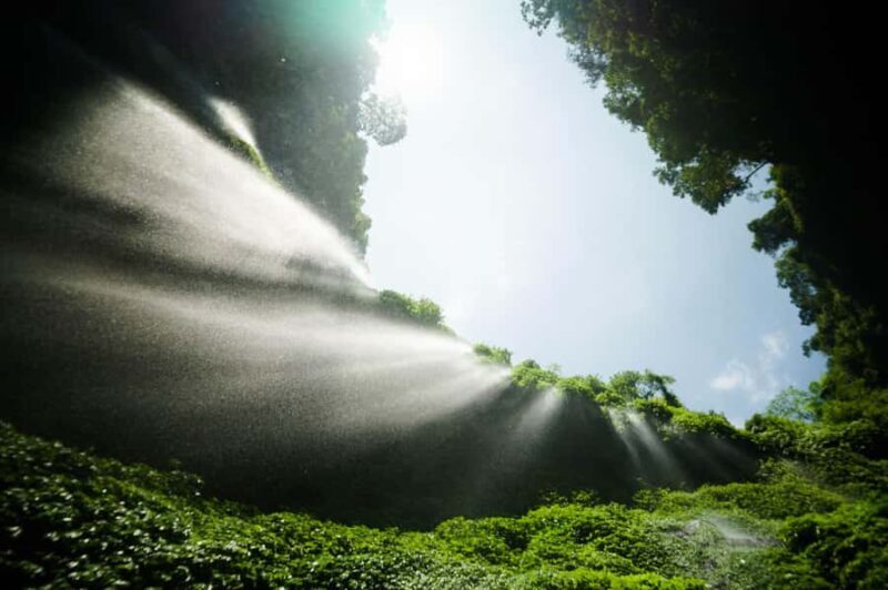 Probolinggo: Private Madakaripura Waterfall Mist & Cliffs - The Journey Begins: From Probolinggo to the Waterfall 