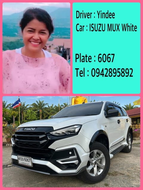 Professional and Friendly Lady Driver Airport Transfer - Key Points