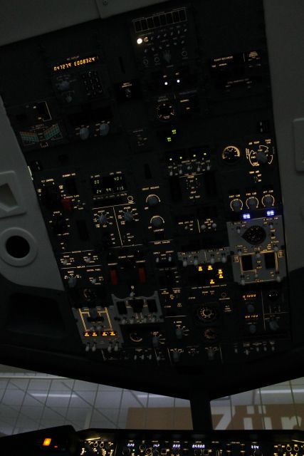 Professional Boeing 737-800 Simulator - 100 Minutes - Not Suitable For