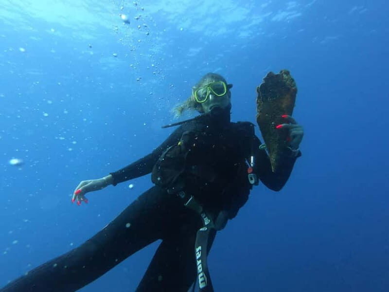 Professional Diving & Blue Cave Tour with Lunch from Split - What Makes This Tour Stand Out?