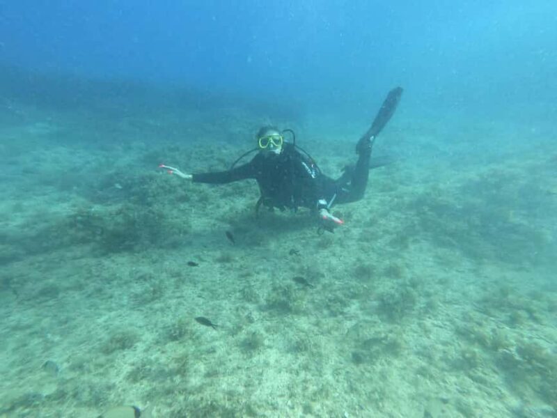 Professional Diving & Blue Cave Tour with Lunch from Split - Final Thoughts