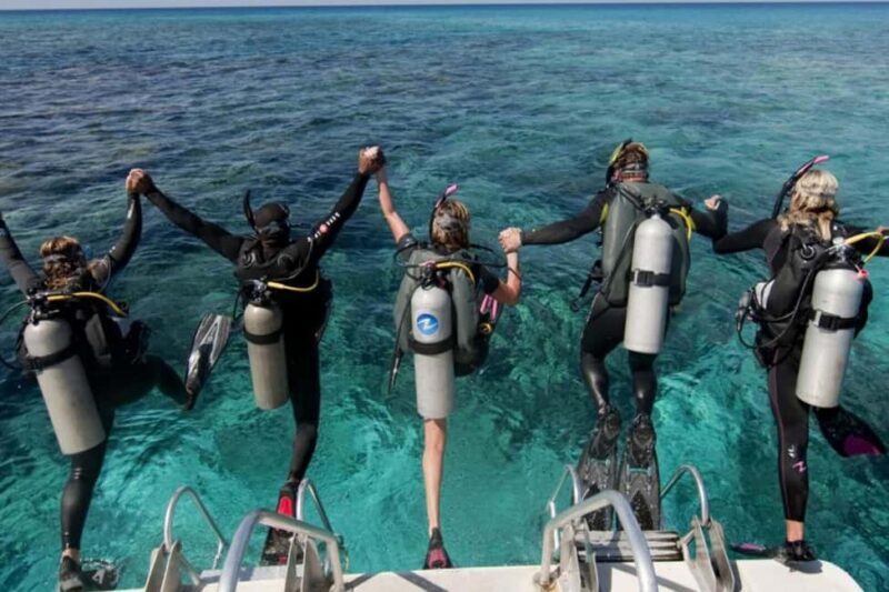 Professional Guided Scuba Diving: Swim with colorful fish. - Why It’s a Great Choice