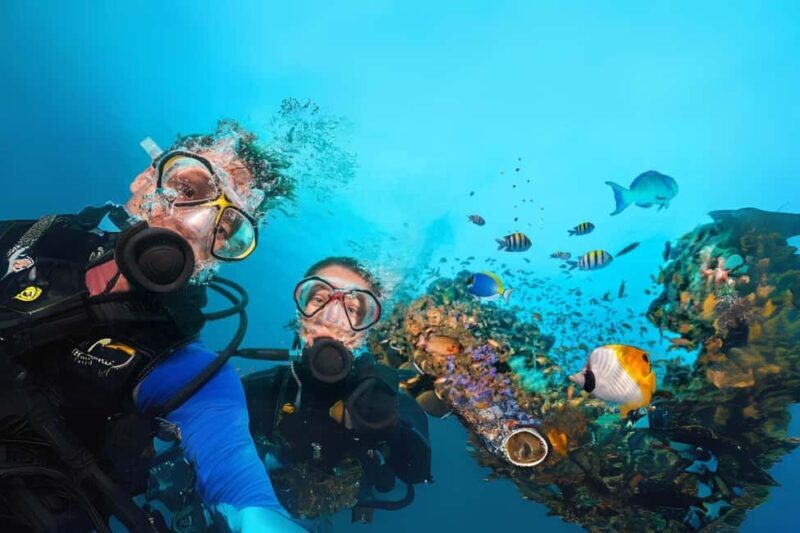 Professional Guided Scuba Diving: Swim with colorful fish. - FAQ: Your Practical Questions Answered