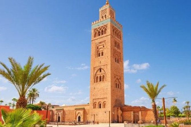 Professional Guides Walking Tours-Marrakech Day&Night (1-2pers) - Meeting Point Instructions