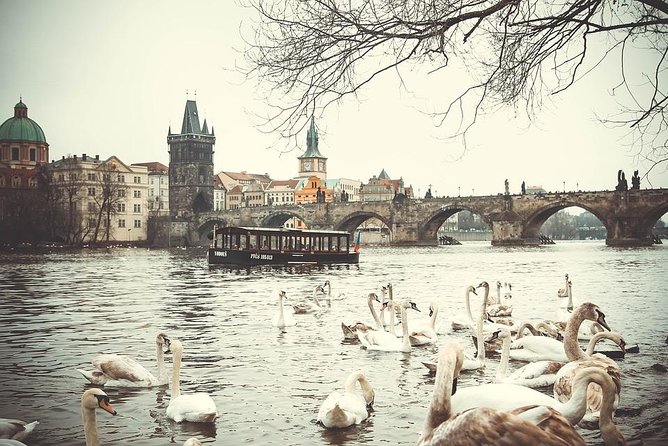 Professional Guides Walking Tours-Prague Day&Night (1-2pers) - The Sum Up