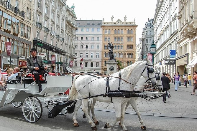 Professional Guides Walking Tours-Vienna Day&Night (1-2pers) - What To Expect