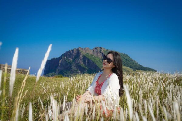 Professional Photography Experience in Jeju Landmark - Additional Tour Information