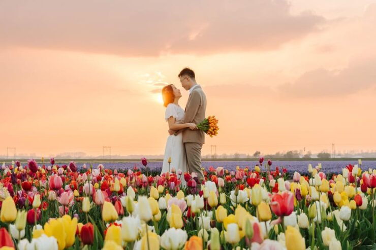 Professional Photoshoot at Tulip Fields and Keukenhof - Good To Know