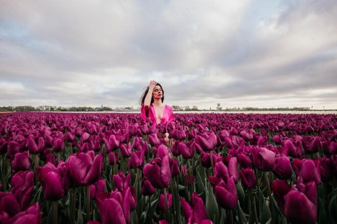 Professional Photoshoot at Tulip Fields and Keukenhof - Meeting and Dress Recommendations