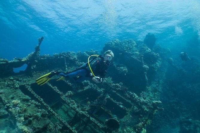 Professional Scuba Diving Boat Trip With Lunch and Transfer – Hurghada - Booking Details