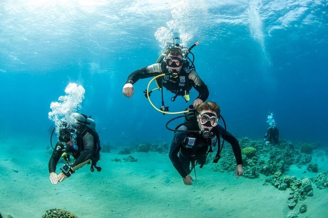 Professional Scuba Diving Boat Trip With Lunch and Transfer – Hurghada - Cancellation Policies