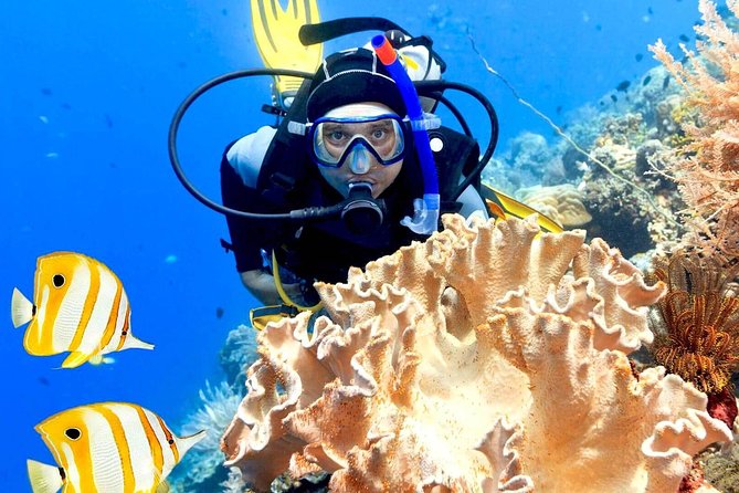 Professional Scuba Diving Boat Trip With Lunch and Transfer – Hurghada - Meeting and Pickup Information