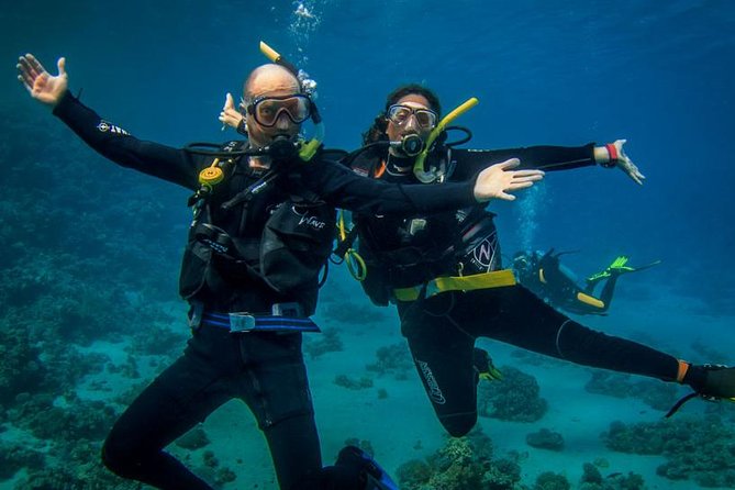 Professional Scuba Diving Full Day Trip – Hurghada - Logistics