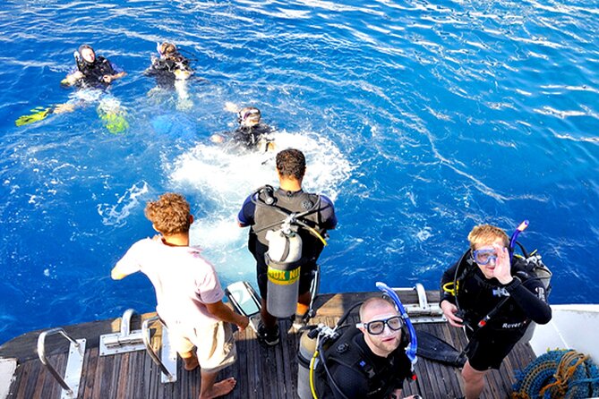Professional Scuba Diving Tour, Lunch & Transfers From Hurghada - Good To Know
