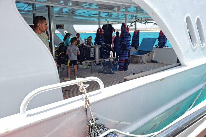 Professional Scuba Diving Tour, Lunch & Transfers From Hurghada - Pricing and Guarantees