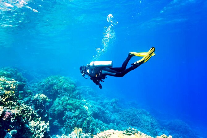 Professional Scuba Diving Tour, Lunch & Transfers From Hurghada - Traveler Restrictions