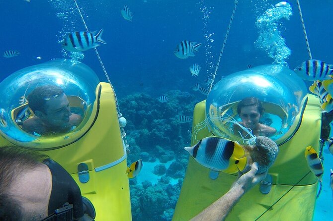 Professional Scubadoo Experience Under the Ocean in Punta Cana - Breathe Normally and Wear Prescription Glasses
