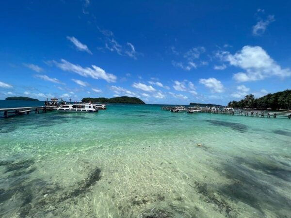 PROFESSIONAL SNORKELING to Explore Coral Spots in Phu Quoc - Coral Spots Exploration