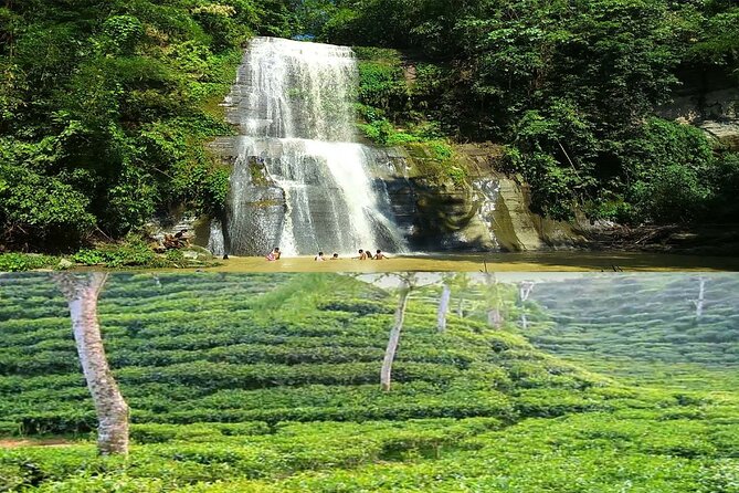Professional Tour Guide Hire in Sreemangal - Good To Know